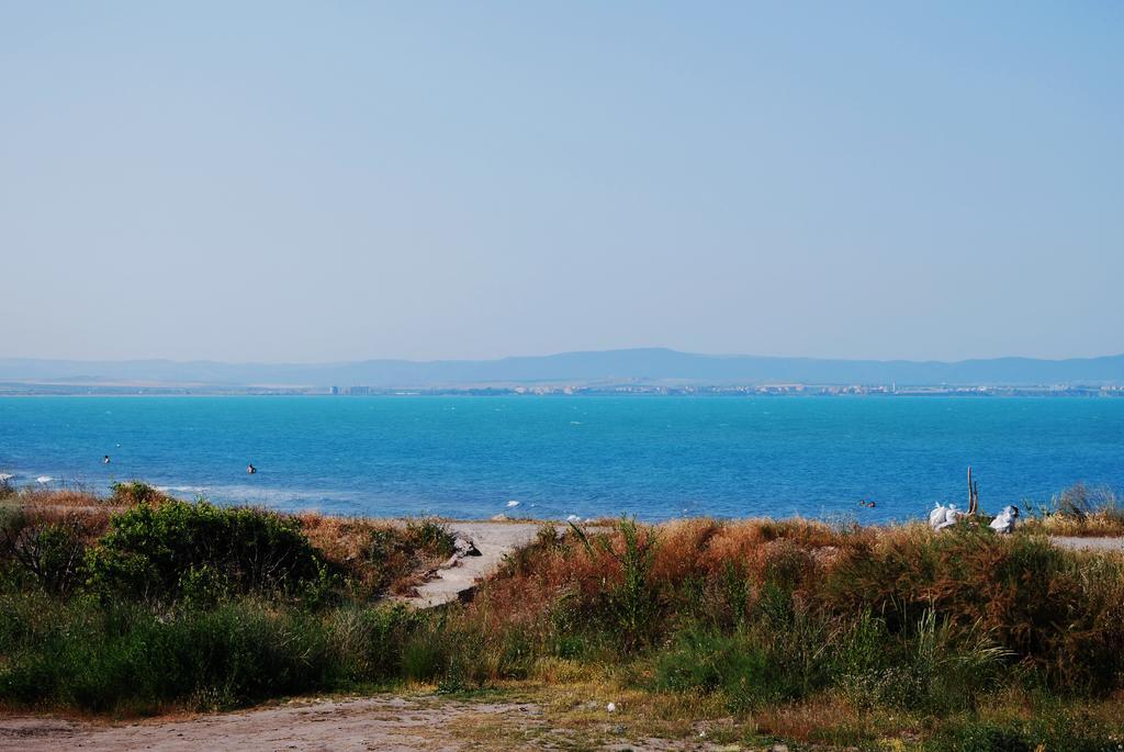 Dune Boutique Hotel Πομόριε Εξωτερικό φωτογραφία